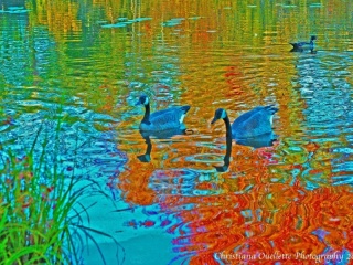 Mud Lake Art