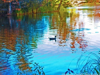 Mud Lake Art