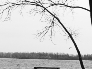 Cherry Beach